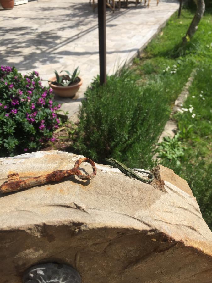Apartments Vesna Πορτορόζ Εξωτερικό φωτογραφία